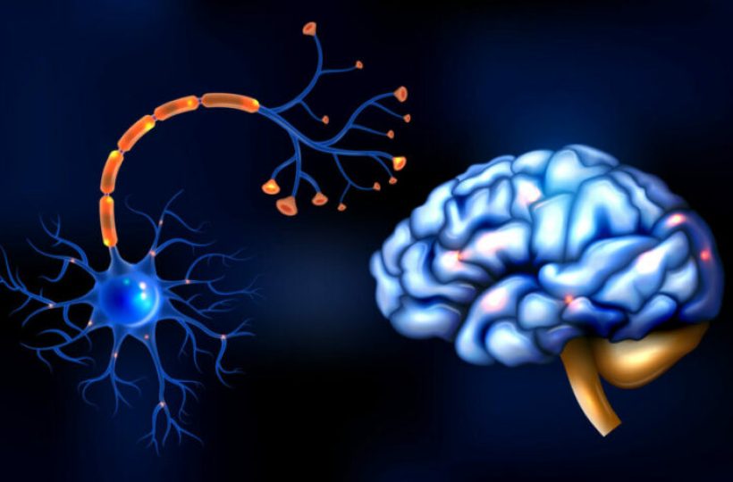 Realistic neuroscience concept with human brain and sensory nerve vector illustration
